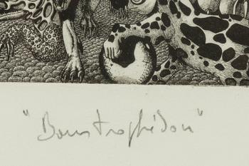 Patrice Henry Biabaud, "Boustrophedon".