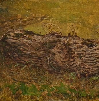 Ferdinand Fagerlin, Stock.
